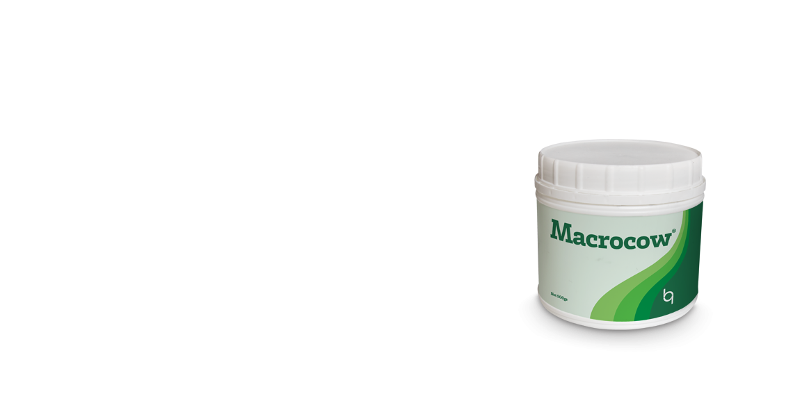 Macrocow® / Sağlıklı ve Güçlü Buzağılar